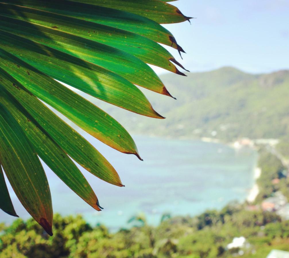 Ocean Terrace Anse Royale Exterior foto